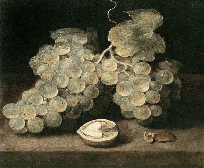 Jacob van Es Grape with Walnut China oil painting art